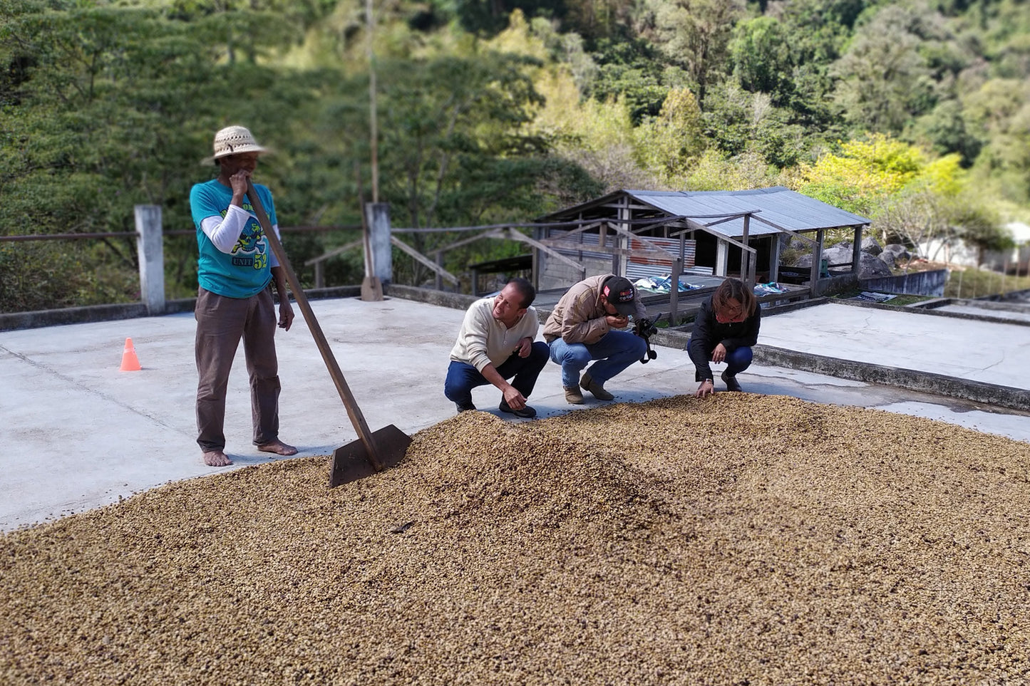 Mexico Organic Medium Roast