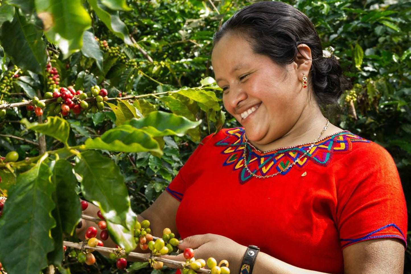 Guatemala Organic Dark Roast